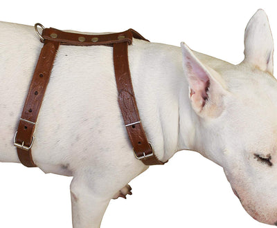 Genuine Tooled Leather Dog Harness Medium. 22
