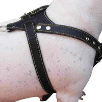 Black Genuine Leather Dog Harness, Medium. 25.5"-29" Chest, 1" Wide Adjustable Straps