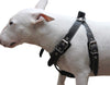 Black Genuine Leather Dog Harness, Medium. 25"-30" Chest, 1" Wide Adjustable Straps