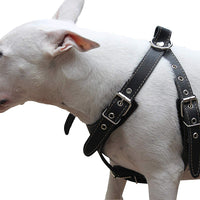 Black Genuine Leather Dog Harness, Medium. 25"-30" Chest, 1" Wide Adjustable Straps