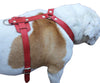 Genuine Leather Dog Harness, 33"-41" Chest, 1" Wide Straps Doberman, Great Dane