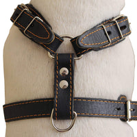 Genuine Leather Dog Harness, 25"-30" Chest, 1" Wide Adjustable Straps for Medium and Large Dogs