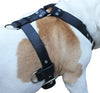 Genuine Leather Dog Harness Large 28"-35" Chest, 1.3" Wide Adjustable Straps