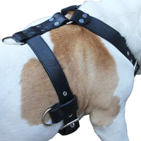 Genuine Leather Dog Harness Large 28"-35" Chest, 1.3" Wide Adjustable Straps