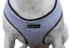 Dogs My Love Soft Vest Harness for Dogs and Puppies 6 sizes Grey