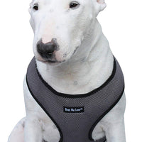 Dogs My Love Soft Mesh Walking Harness for Dogs and Puppies 6 sizes Grey