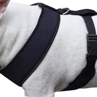 Dogs My Love Soft Vest Harness for Dogs and Puppies 6 sizes Blue