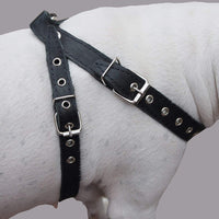 Black Real Leather Dog Harness Medium. 21"-25" Chest, 1" Wide Straps