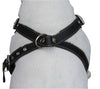 Black Genuine Leather Dog Harness, Medium. 25"-30" Chest, 1" Wide Adjustable Straps