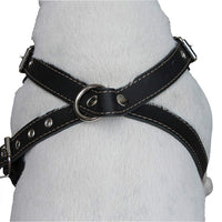 Black Genuine Leather Dog Harness, Medium. 25"-30" Chest, 1" Wide Adjustable Straps