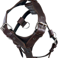 Genuine Leather Dog Harness X-Large 33"-40" Chest, 1.3" Wide Adjustable Straps