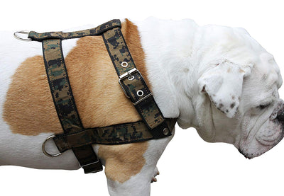 Camouflage Dog Training Walking Dog Harness 3 Sizes Nylon