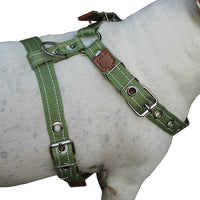 Cotton Web Dog Harness Large. Fits Girth 26"-31". 1" Wide Straps, Amstaff, Boxer, Pitbull