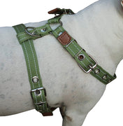 Cotton Web Dog Harness Large. Fits Girth 26"-31". 1" Wide Straps, Amstaff, Boxer, Pitbull