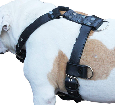 Genuine Leather Dog Harness Large 28