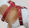 Red Genuine Leather Dog Harness, Large to Xlarge 33"-37" Chest, 1.5" Wide Straps Rottweiler Mastiff