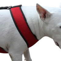 Dogs My Love Soft Mesh Walking Harness for Dogs and Puppies 6 sizes Red