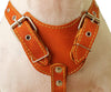 Genuine Leather Dog Harness, Medium. 25.5"-29" Chest size, 1" Wide, Amstaff, Pitbull