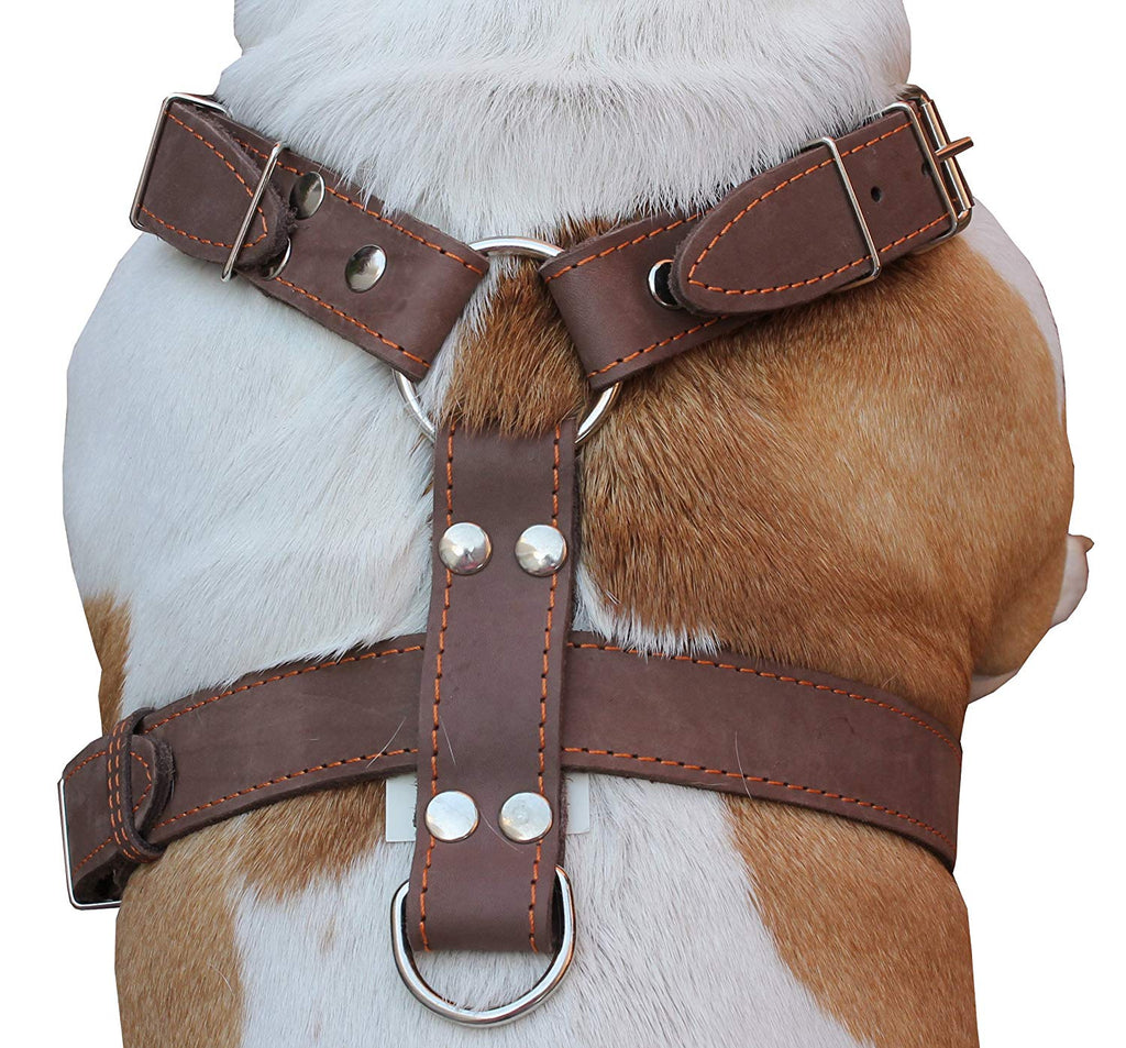Soft Genuine Leather Dog Harness Leash Set Small Medium Dogs Cats Harness Vest For Chihuahua French Bulldog Walking Training Soft Genuine Leather Dog Harness Leash Set Small Medium Dogs Cats Harness Vest For Chihuahua French Bulldog Walking Training