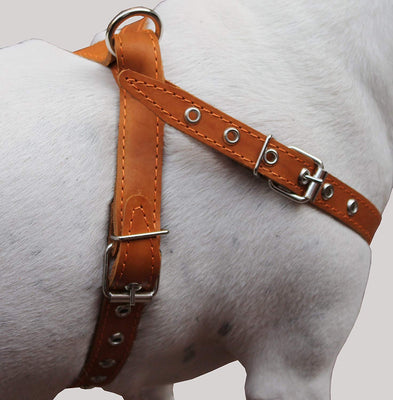 Tan Real Leather Dog Harness Medium. 21
