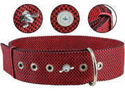 Bolted Heavy Duty Extra Wide Triple Layer Tie Out Dog Collar for XLarge Dogs 20"-24" Neck, 2" Wide