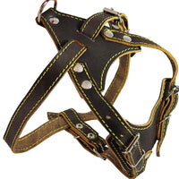 Real Leather Dog Harness, 24.5"-28" Chest size, 3/4" Wide, Harrier