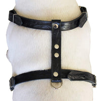 Genuine Tooled Leather Dog Harness Medium. 22"-30" Chest, 3/4" Wide Straps