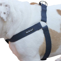 Cotton Web Adjustable Dog Step-in Harness 4 Sizes Blue