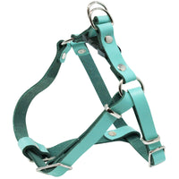 Genuine Leather Adjustable Step-in Dog Harness 2 Sizes Small XSmall [Turquoise]