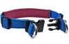 Soft Neoprene Padded Adjustable Reflective 1" Wide 2 Rings Design Dog Collar Blue 3 Sizes