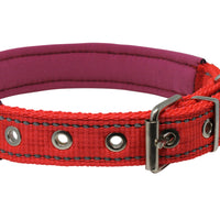 Soft Neoprene Padded Adjustable Reflective 1" Wide Classic Dog Collar Red 3 Sizes